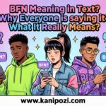 BFN Meaning in text