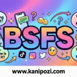 BSFS Meaning in Text