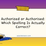 Authorized or Authorised