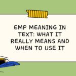 EMP Meaning in Text