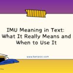 IMU Meaning in Text