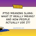 PTSO Meaning Slang