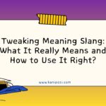 Tweaking Meaning Slang