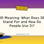DD Meaning