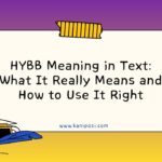 HYBB Meaning in Text