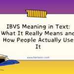 IBVS Meaning in Text