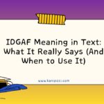IDGAF Meaning in Text