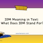 IDM Meaning in Text What Does IDM Stand For