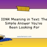 IONK Meaning in Text
