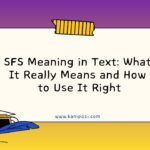 SFS Meaning in Text