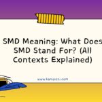SMD Meaning