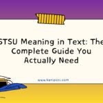 STSU Meaning in Text