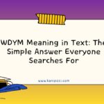 WDYM Meaning in Text
