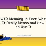 WTD Meaning in Text