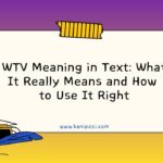 WTV Meaning in Text