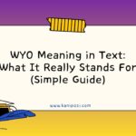 WYO Meaning in Text