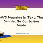 WYS Meaning in Text